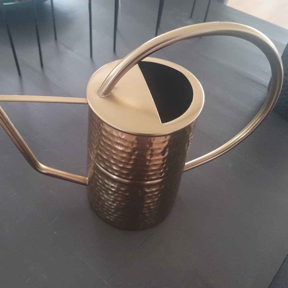 Gold  kettle